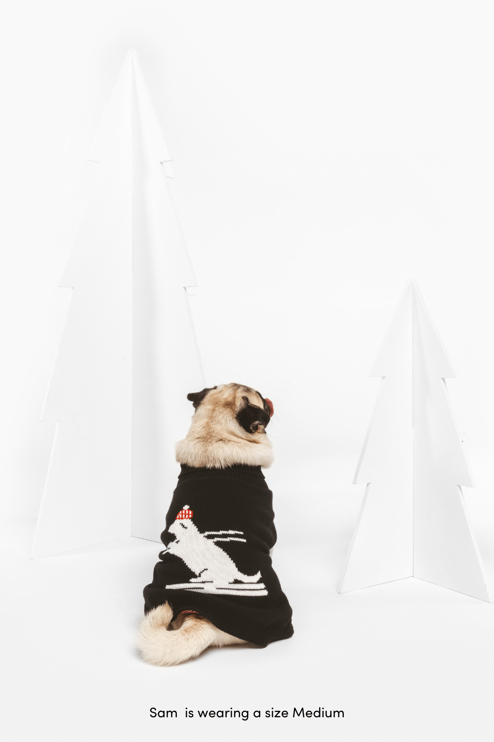 Shaya - Ski Pawtrol -