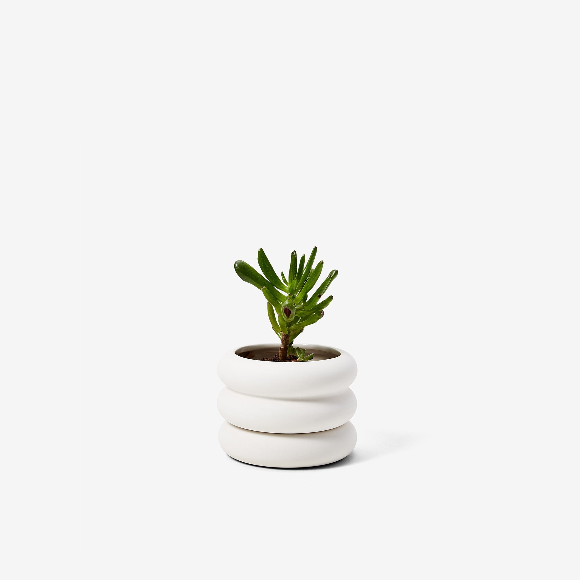 Areaware - Stacking Planter Mini Short - White -