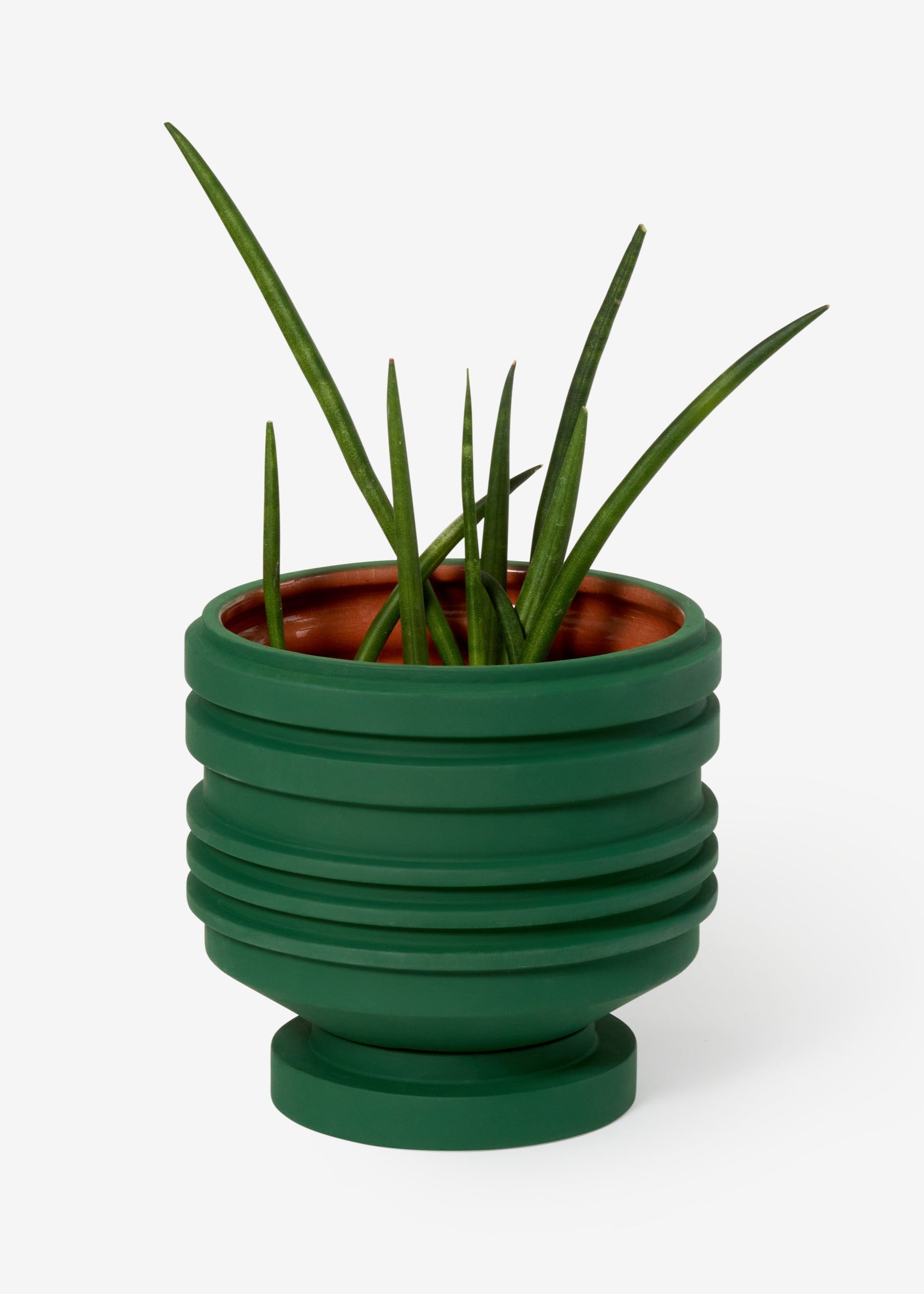 Areaware - Strata Plant Vessel - Green -