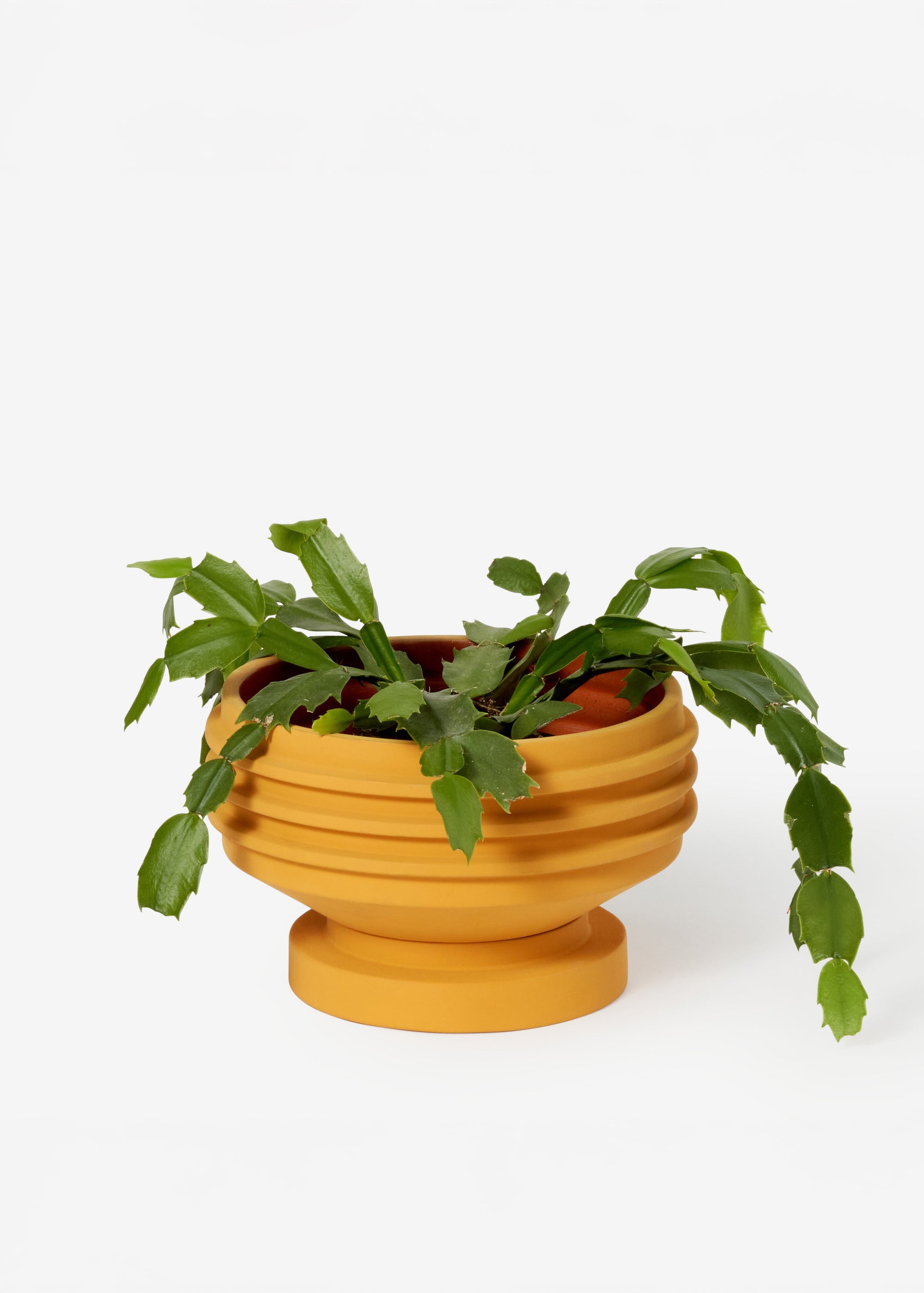 Areaware - Strata Plant Vessel - Yellow -