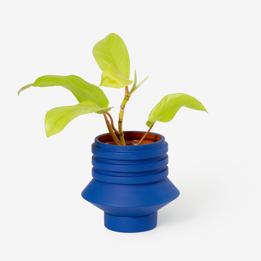 Areaware - Strata Plant Vessel - Blue -