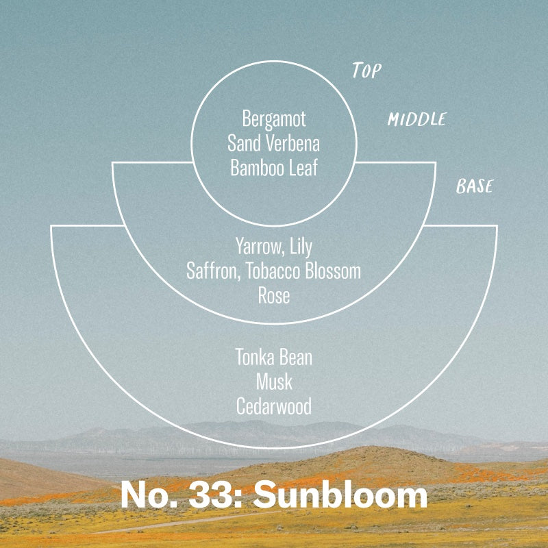P.F. Candle Co. - Sunbloom Candle -