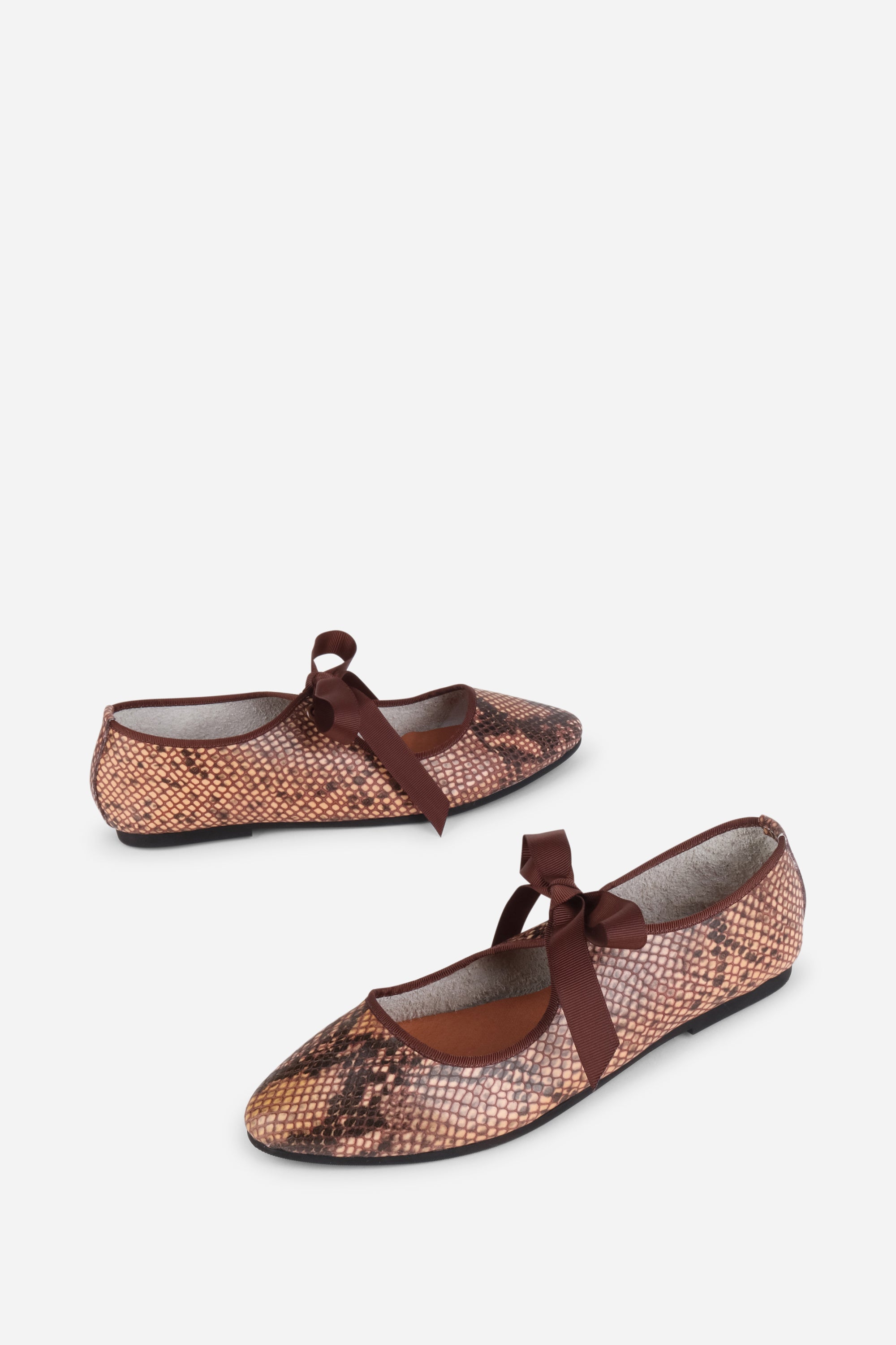 Valley Snake Ballet Flat