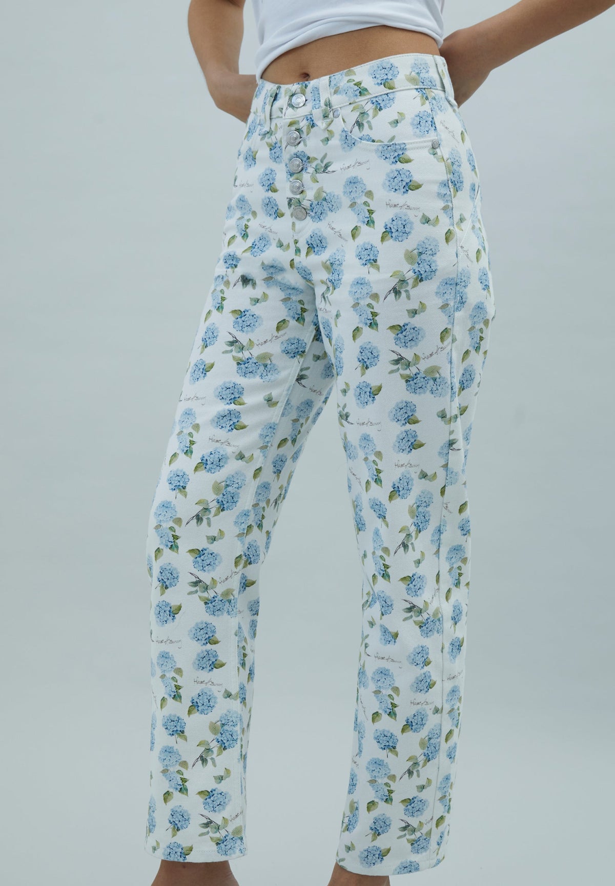 Hydrangea Jessie Jeans