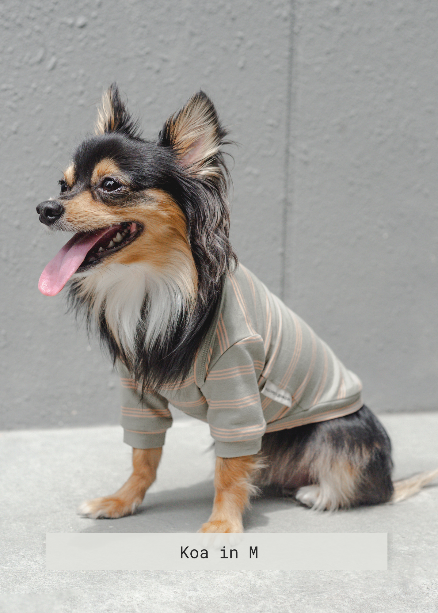 Lambwolf Collective - Chelsea Dog Tee - Fern -