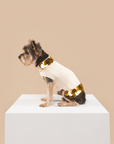 Shaya - Fancy You -