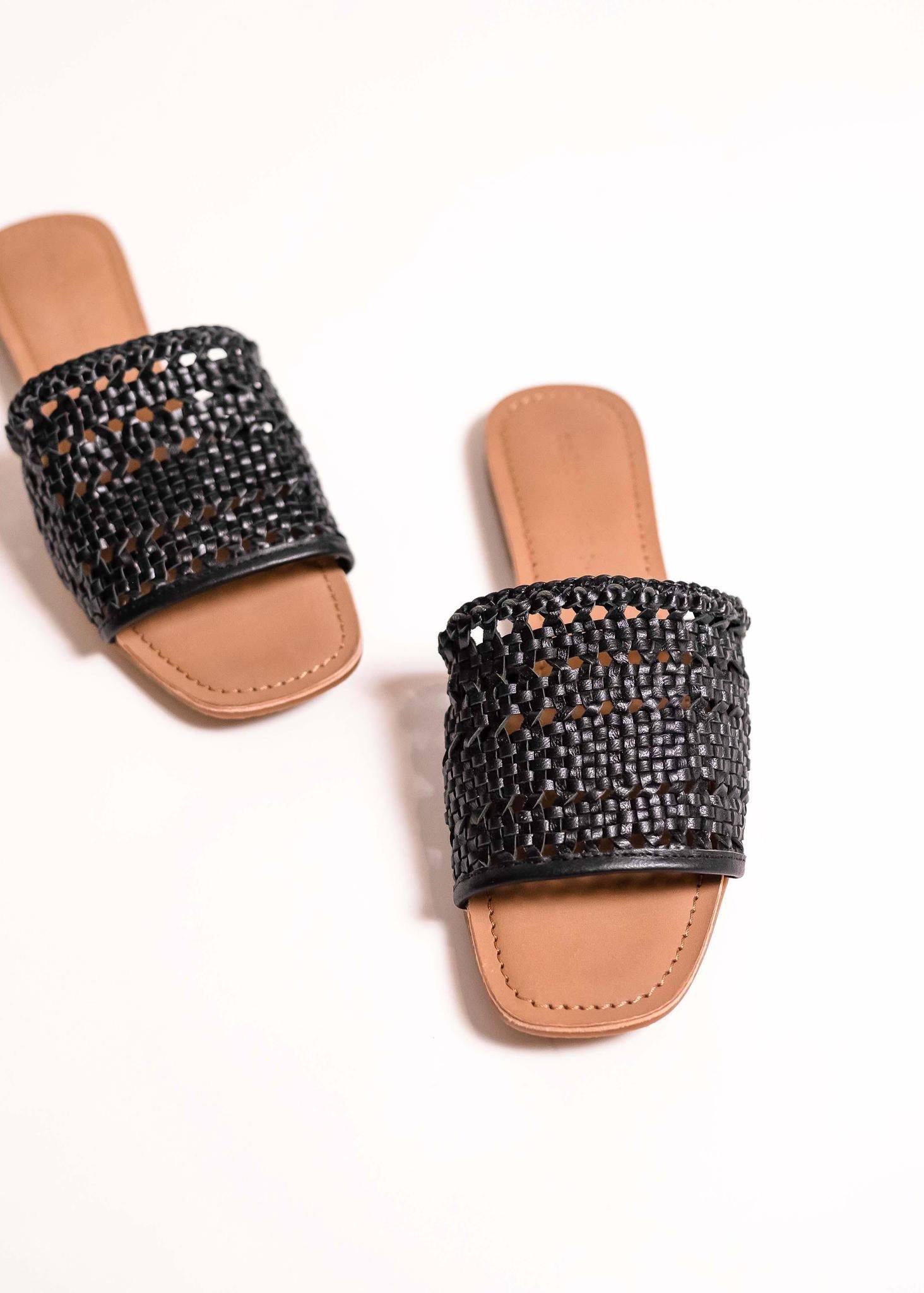 salt + umber - Palm - Black -