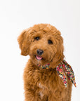 MODERNBEAST - Classic Necktie -