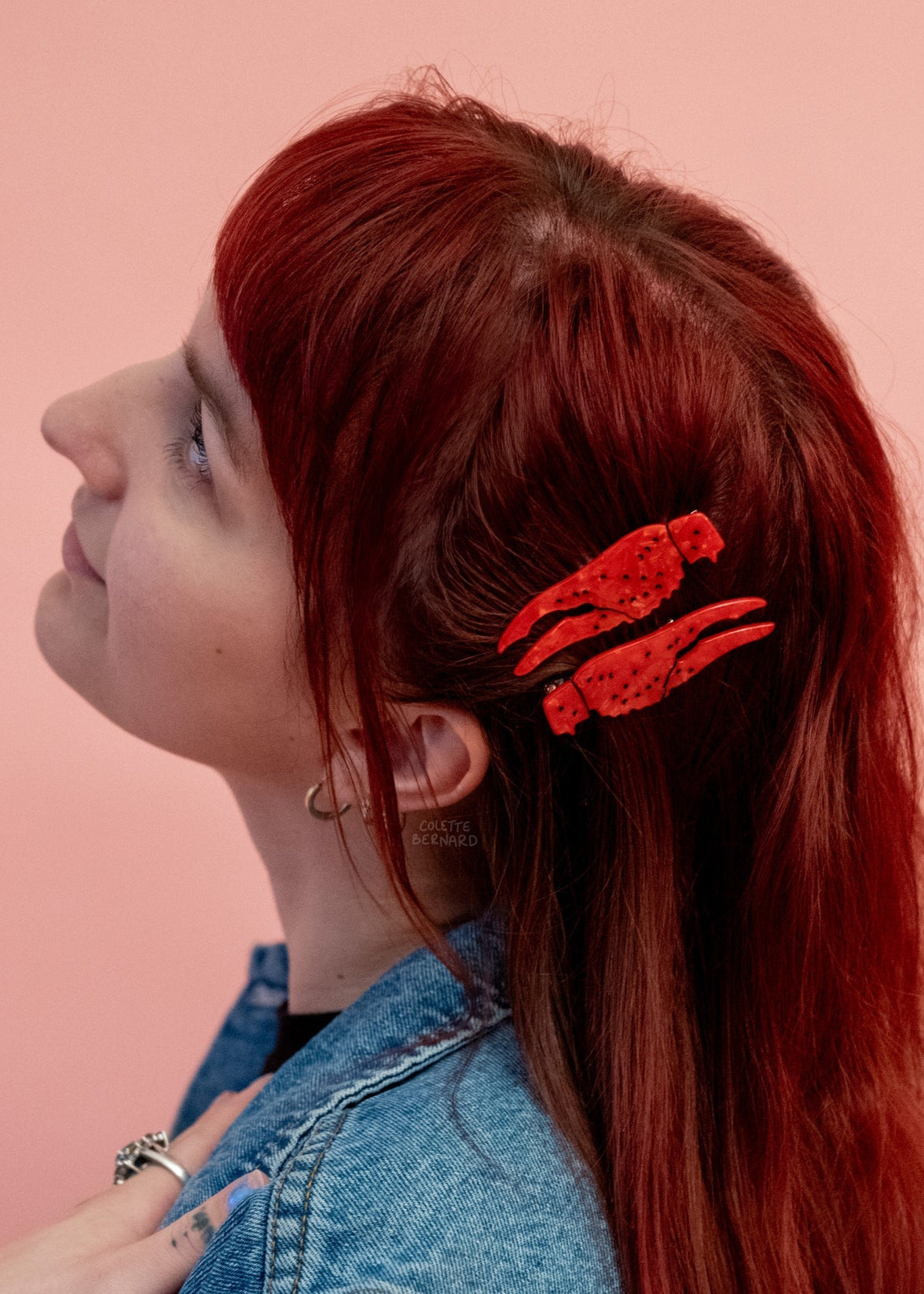 Artist Colette - Crawfish Claw Clips - Set of 2 -