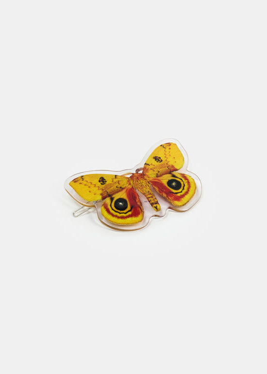 Chunks - Clip - Io Moth -