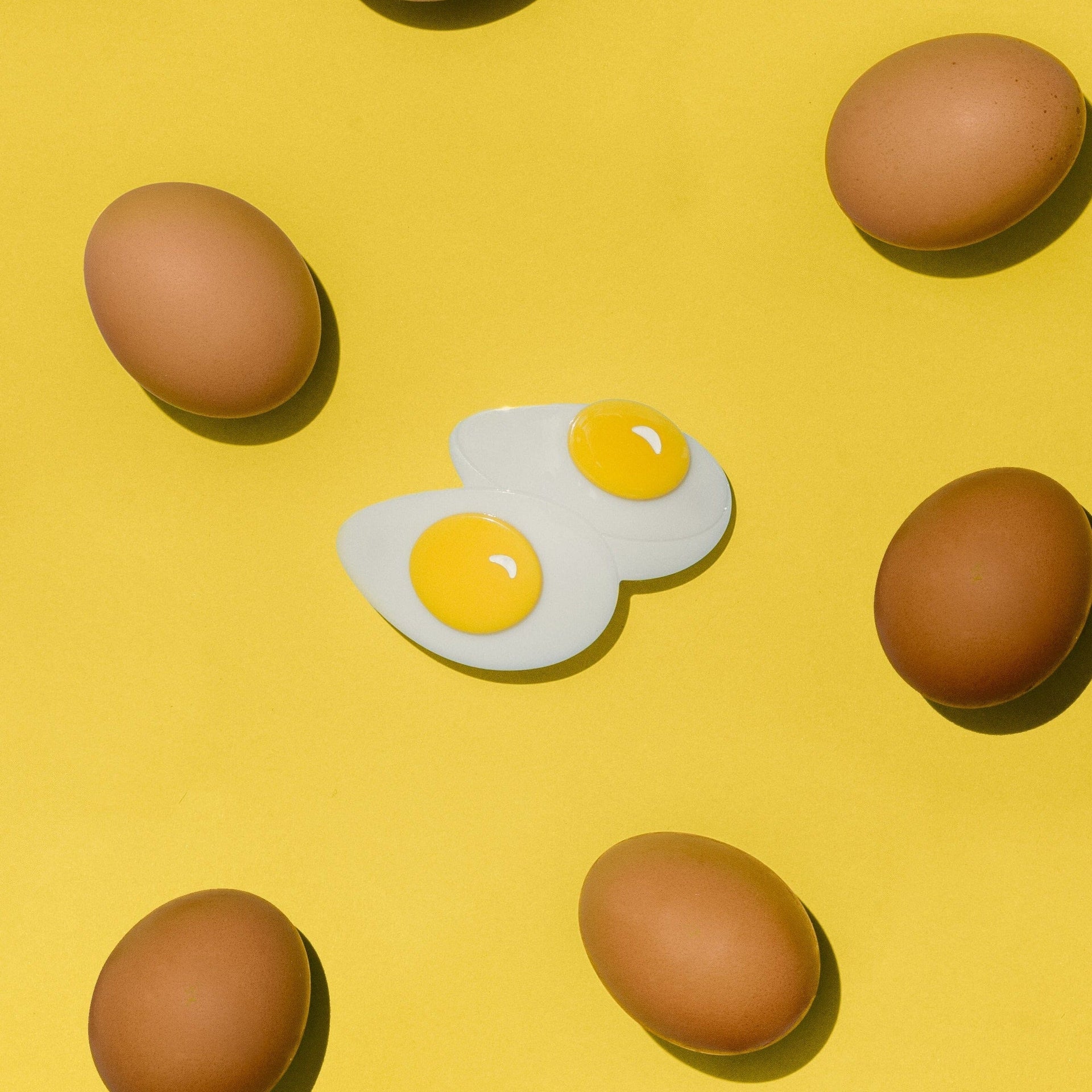 Jenny Lemons - Egg French Barrette -