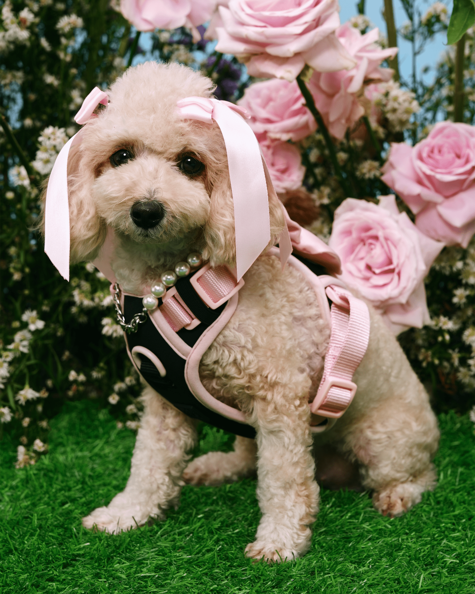 Furry Muse - Wander! Bow Harness - Ballerina -