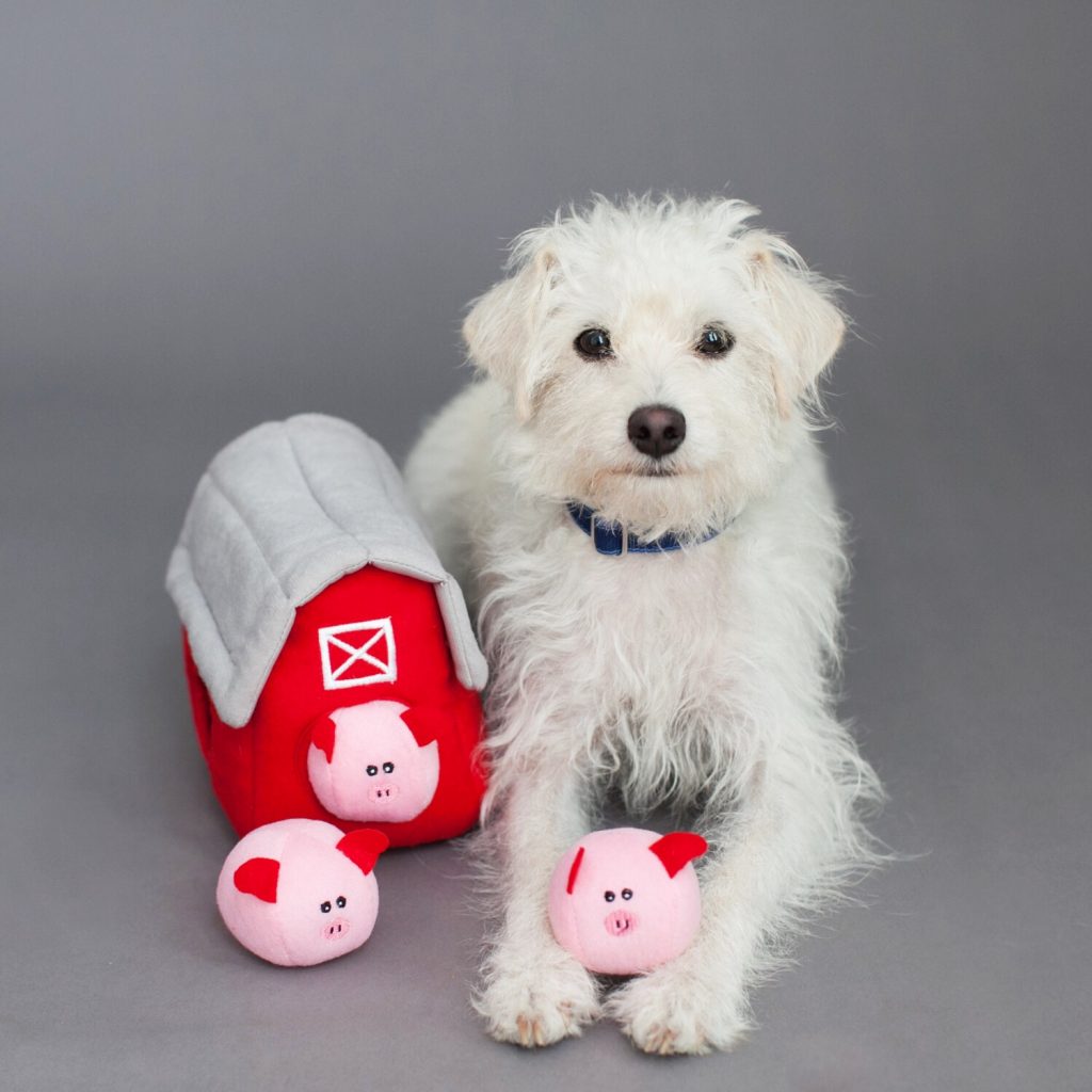Zippy Paws - Zippy Burrow - Pig Barn -