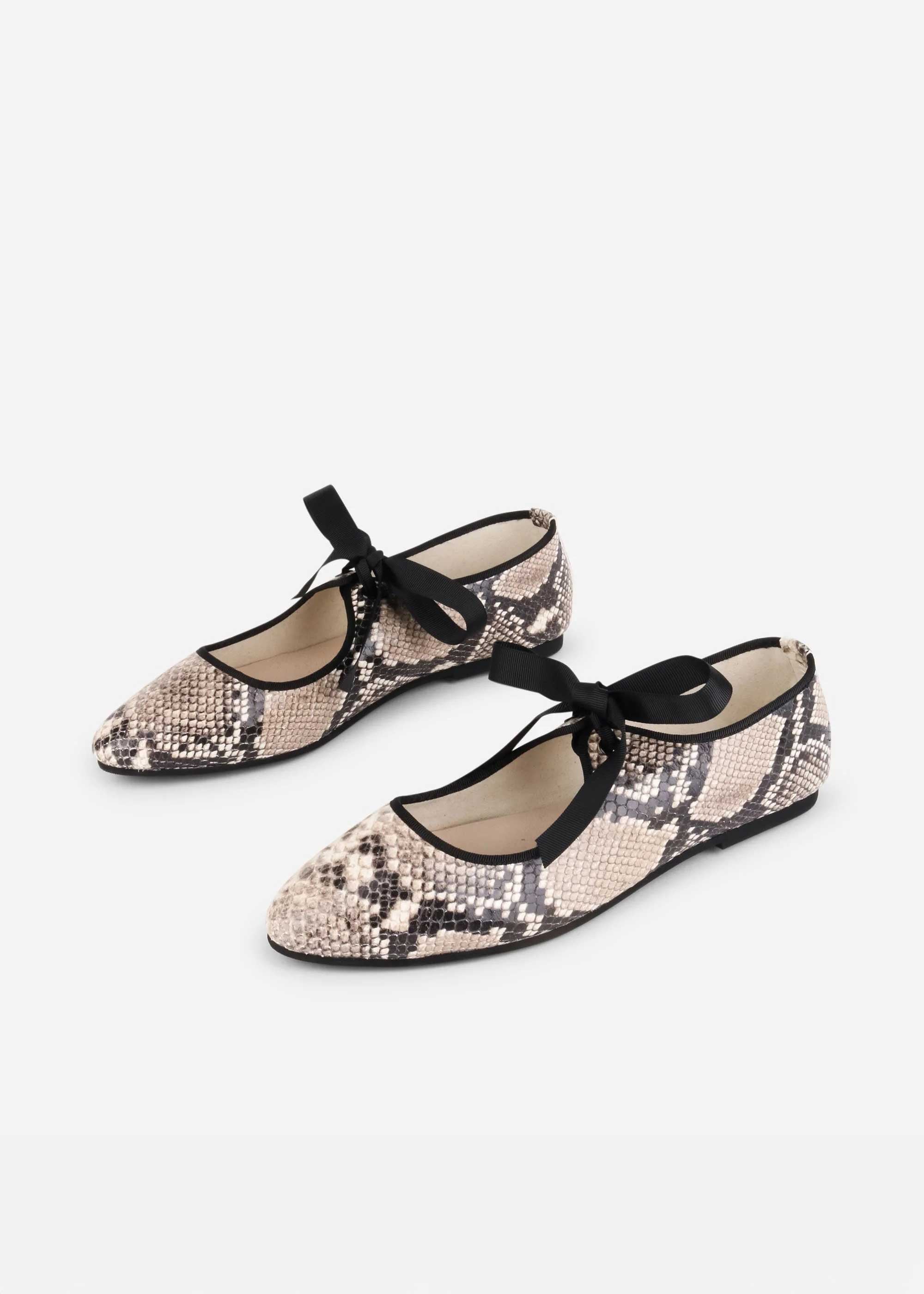 Valley Snake Ballet Flat