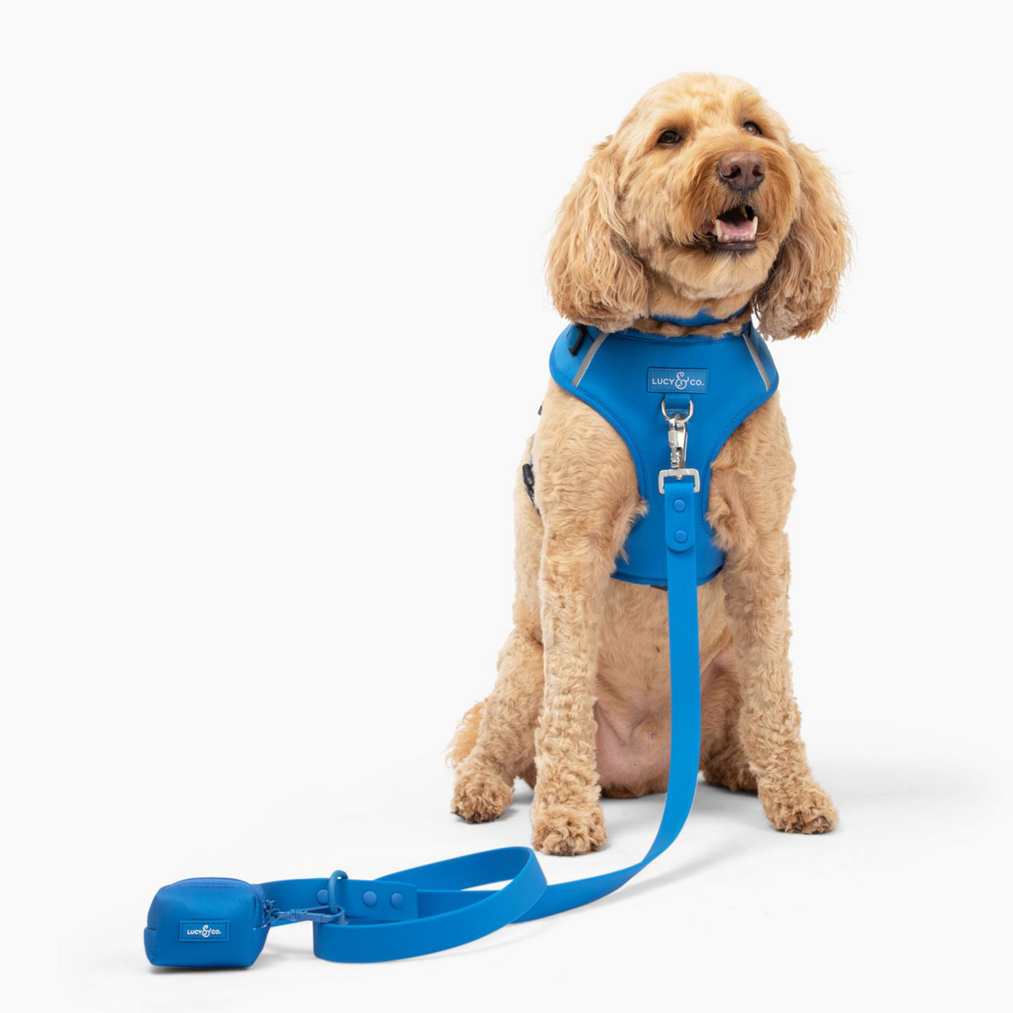 Lucy & Co. - Waterproof PVC Leash - Indie -