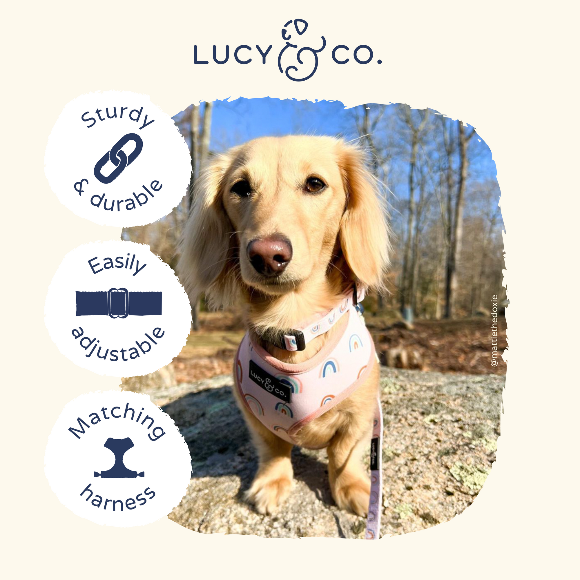 Lucy & Co. - In the Clouds Collar -