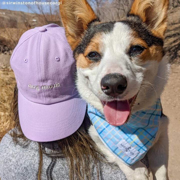Lucy & Co. - Dog Mom Hat - Lilac -