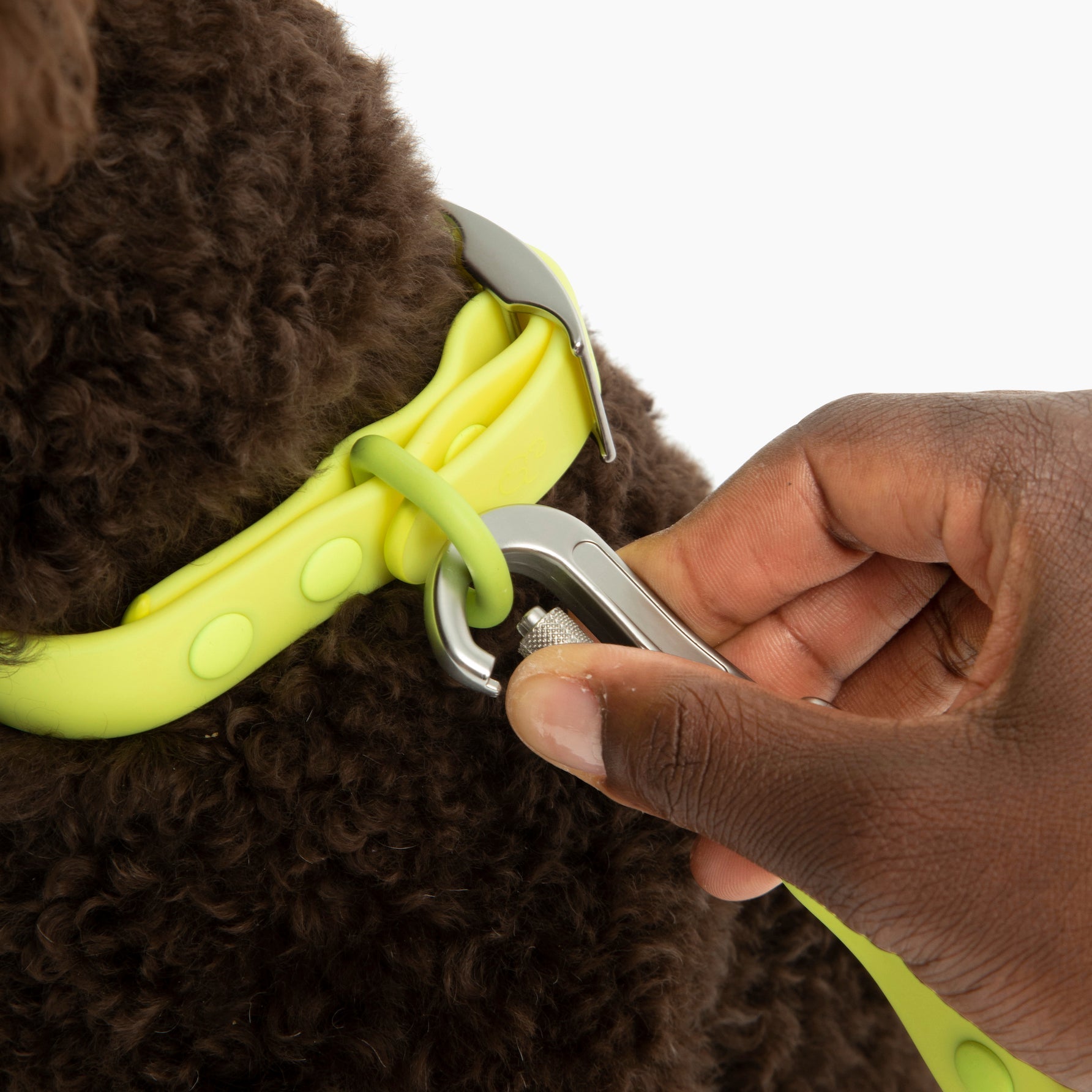 Lucy & Co. - Waterproof PVC Collar - Tennis Ball -