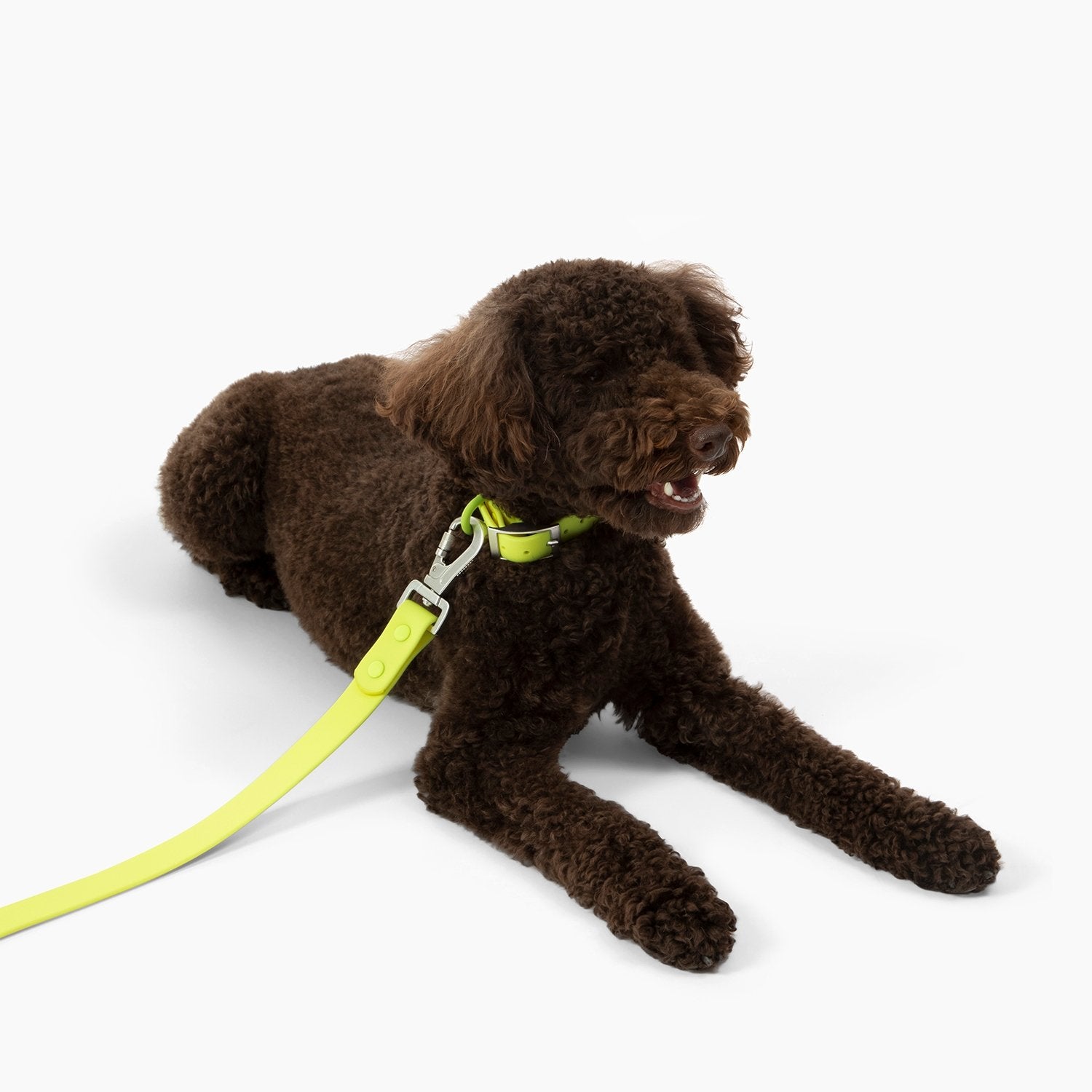 Lucy & Co. - Waterproof PVC Collar - Tennis Ball -