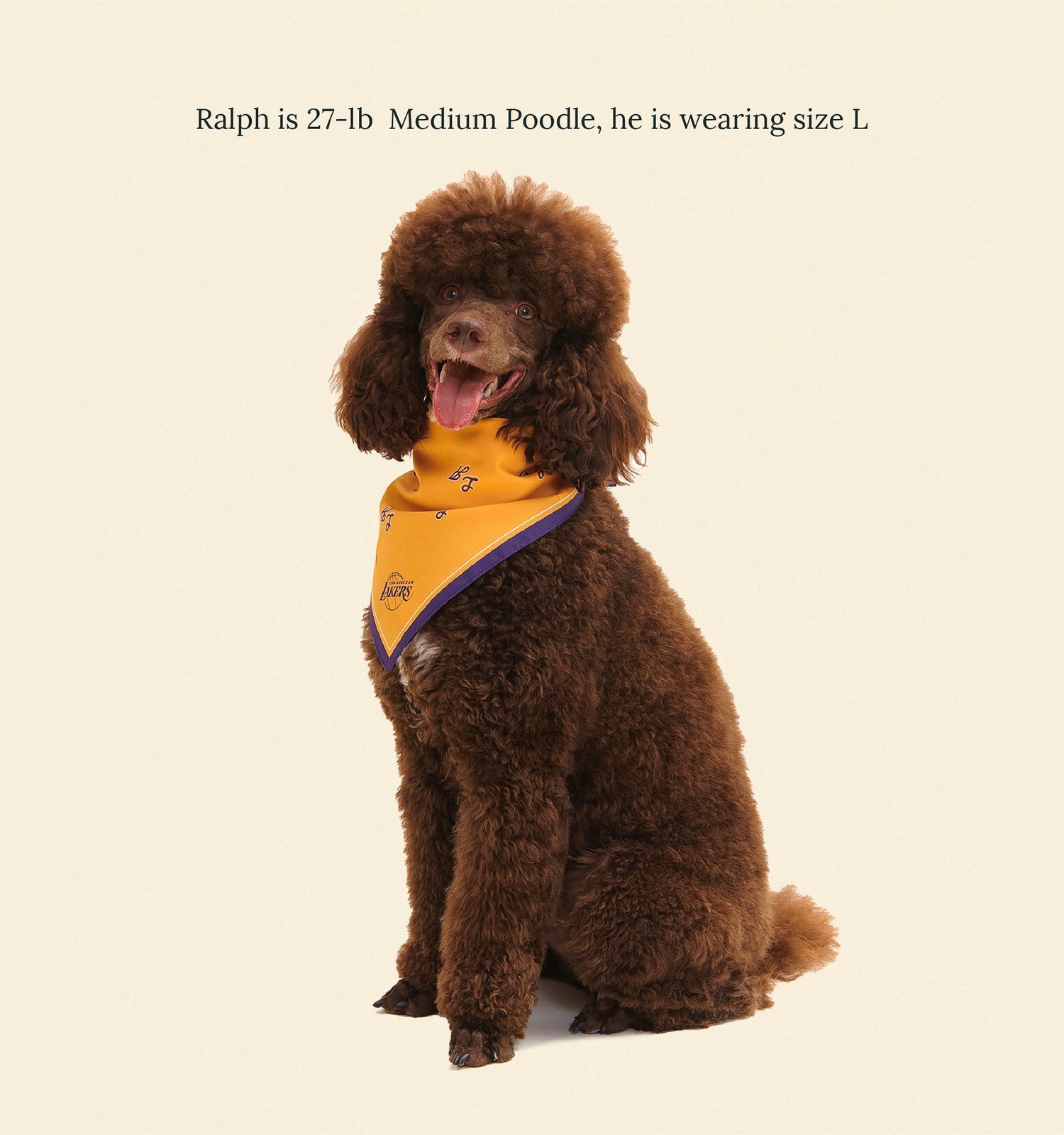 Little Beast - Los Angeles Lakers Bandana -