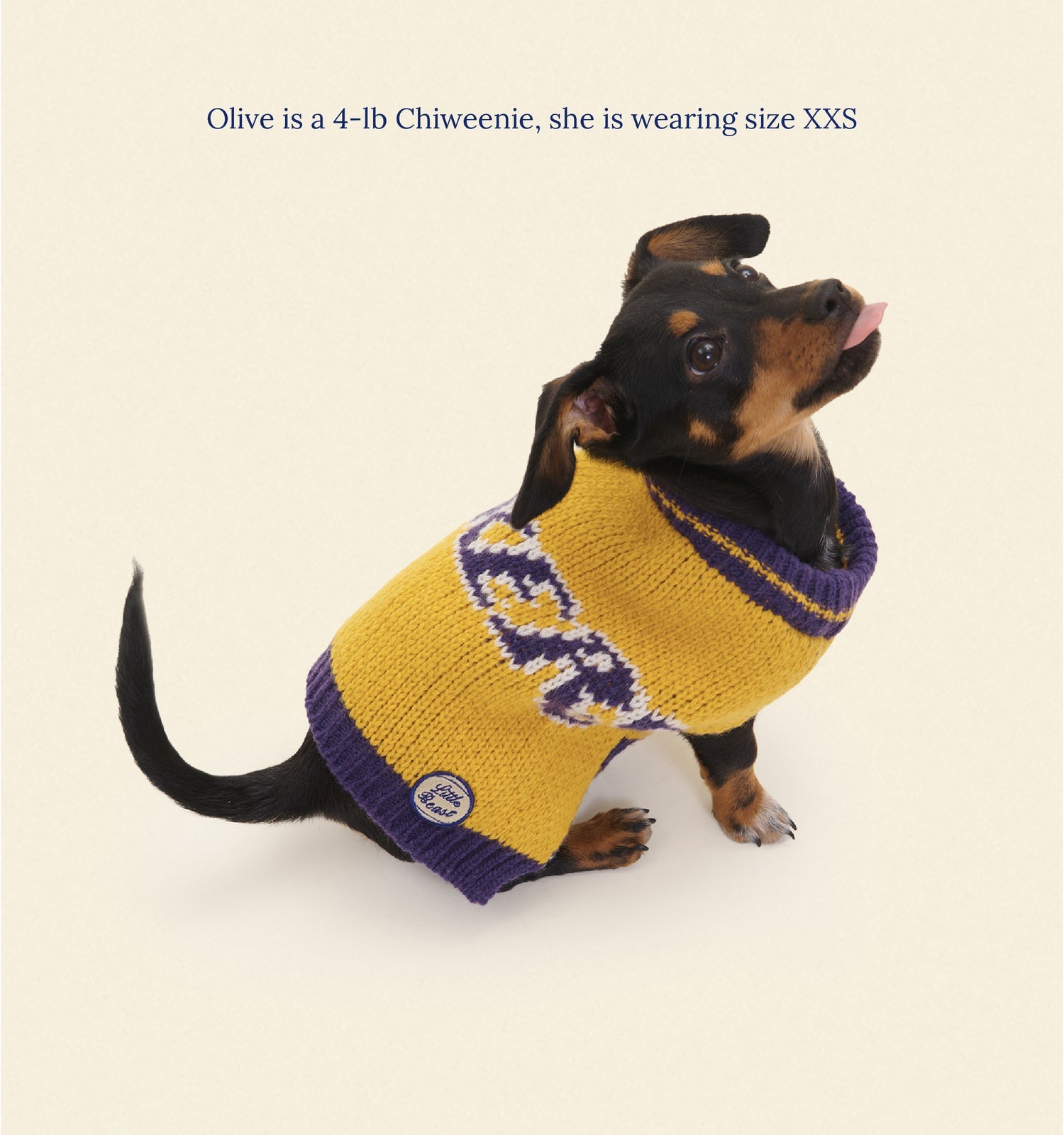 Little Beast - Los Angeles Lakers Dog Sweater -