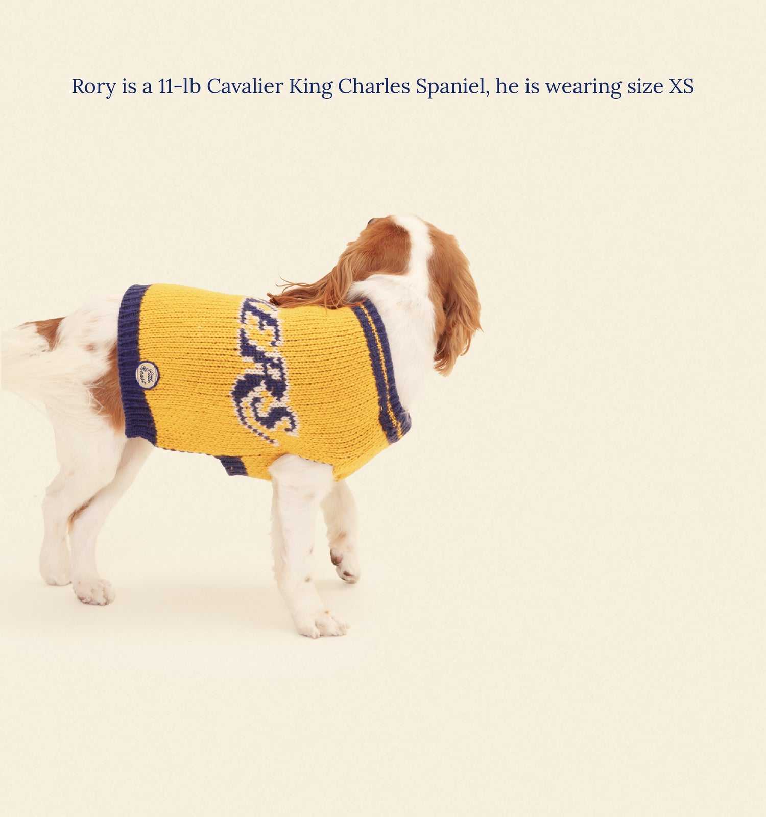 Little Beast - Los Angeles Lakers Dog Sweater -