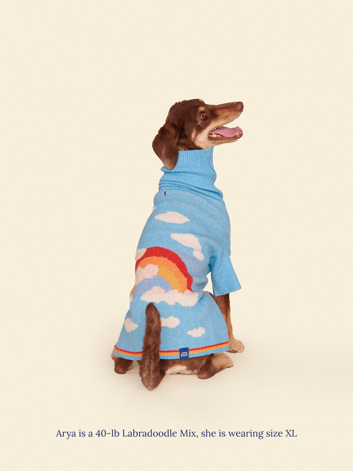 Little Beast - Silver Linings Sweater -