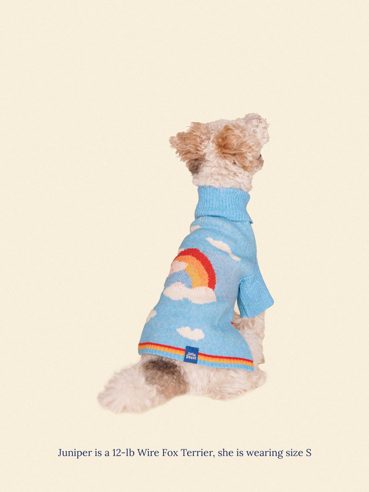 Little Beast - Silver Linings Sweater -
