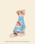 Little Beast - Silver Linings Sweater -
