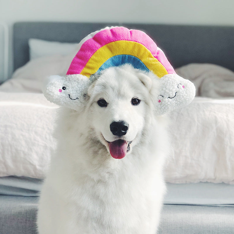Zippy Paws - Squeakie Pattiez - Rainbow -