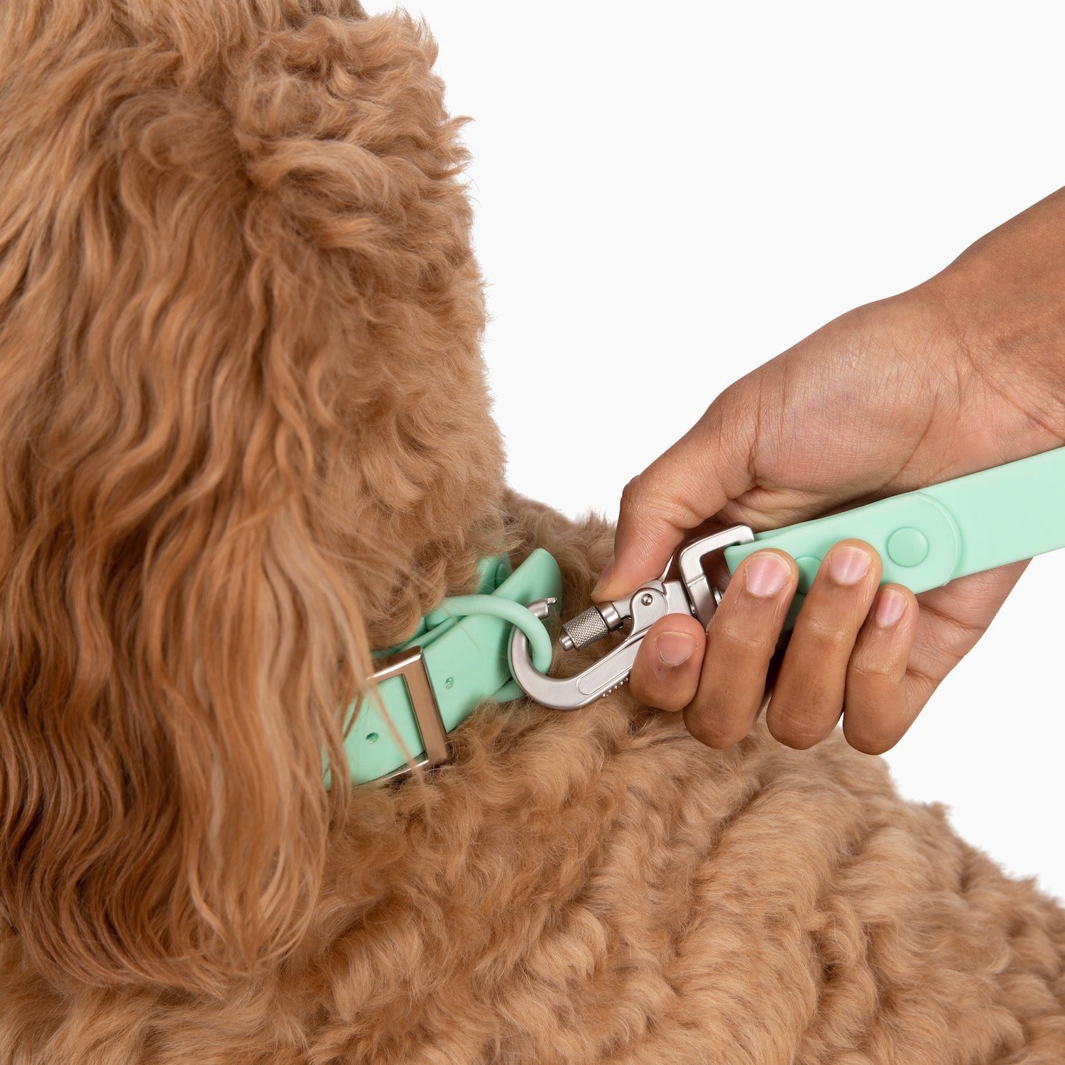 Lucy & Co. - Waterproof PVC Collar - Mint -