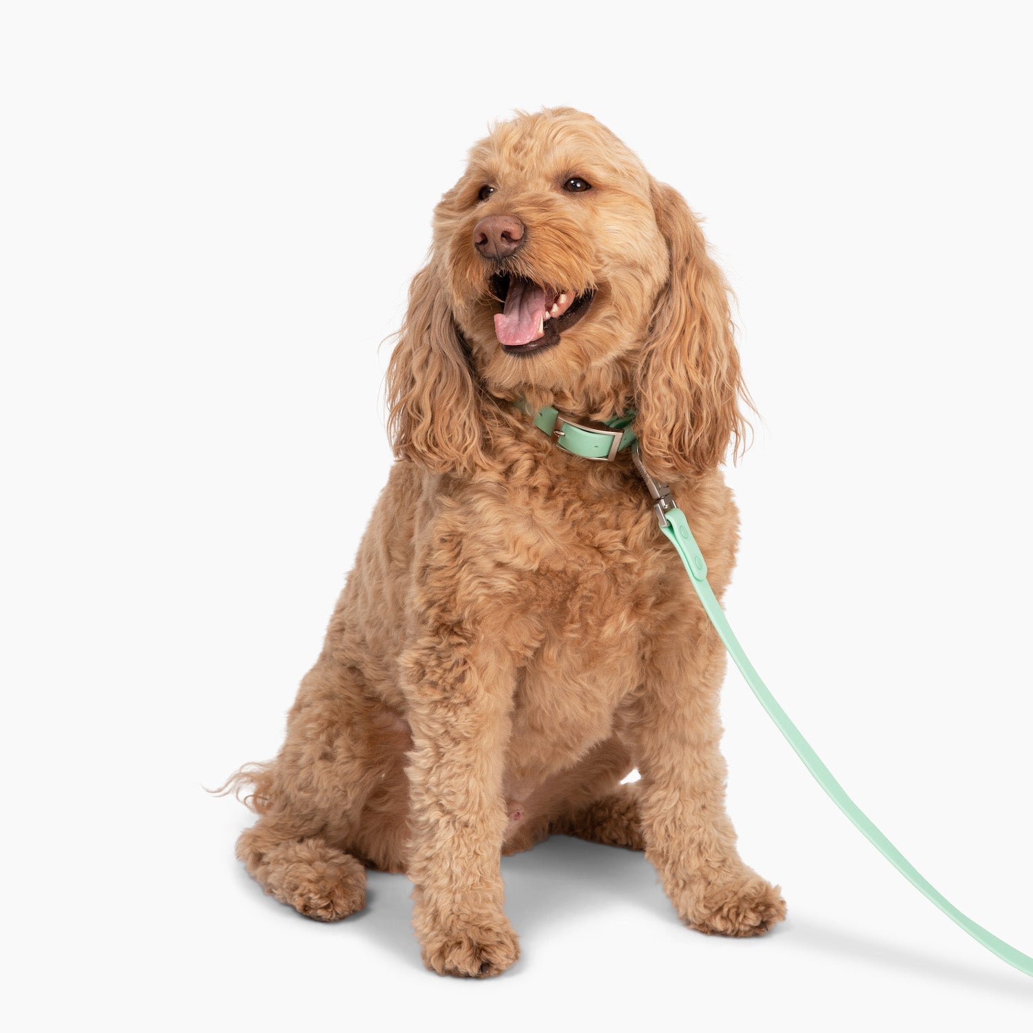 Lucy & Co. - Waterproof PVC Collar - Mint -