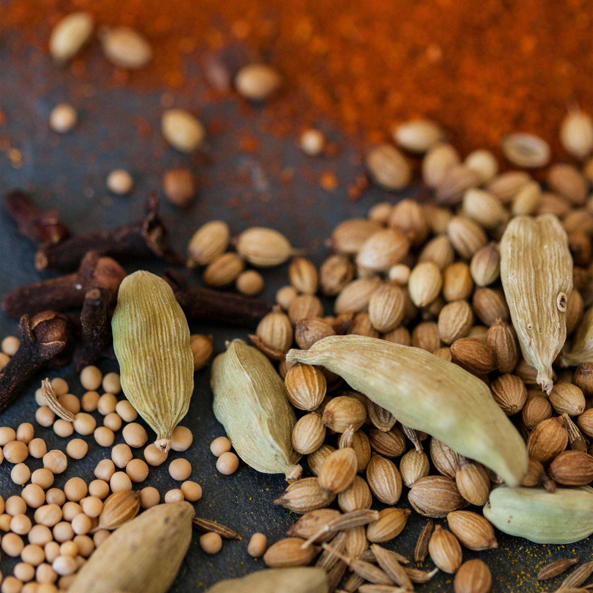 Vitruvi - Chai Spice Air Scent Refill -