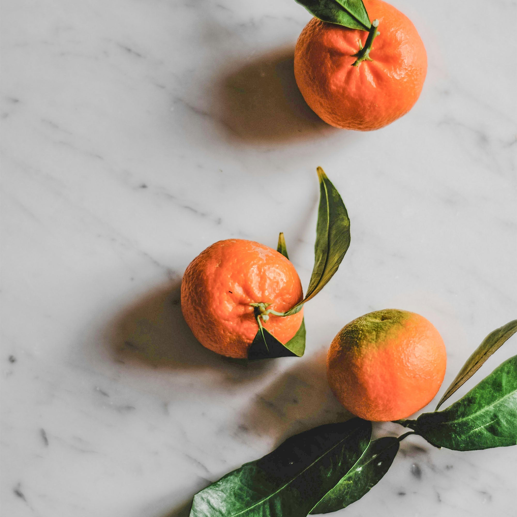 Vitruvi - Earl Grey Air Scent Refill -