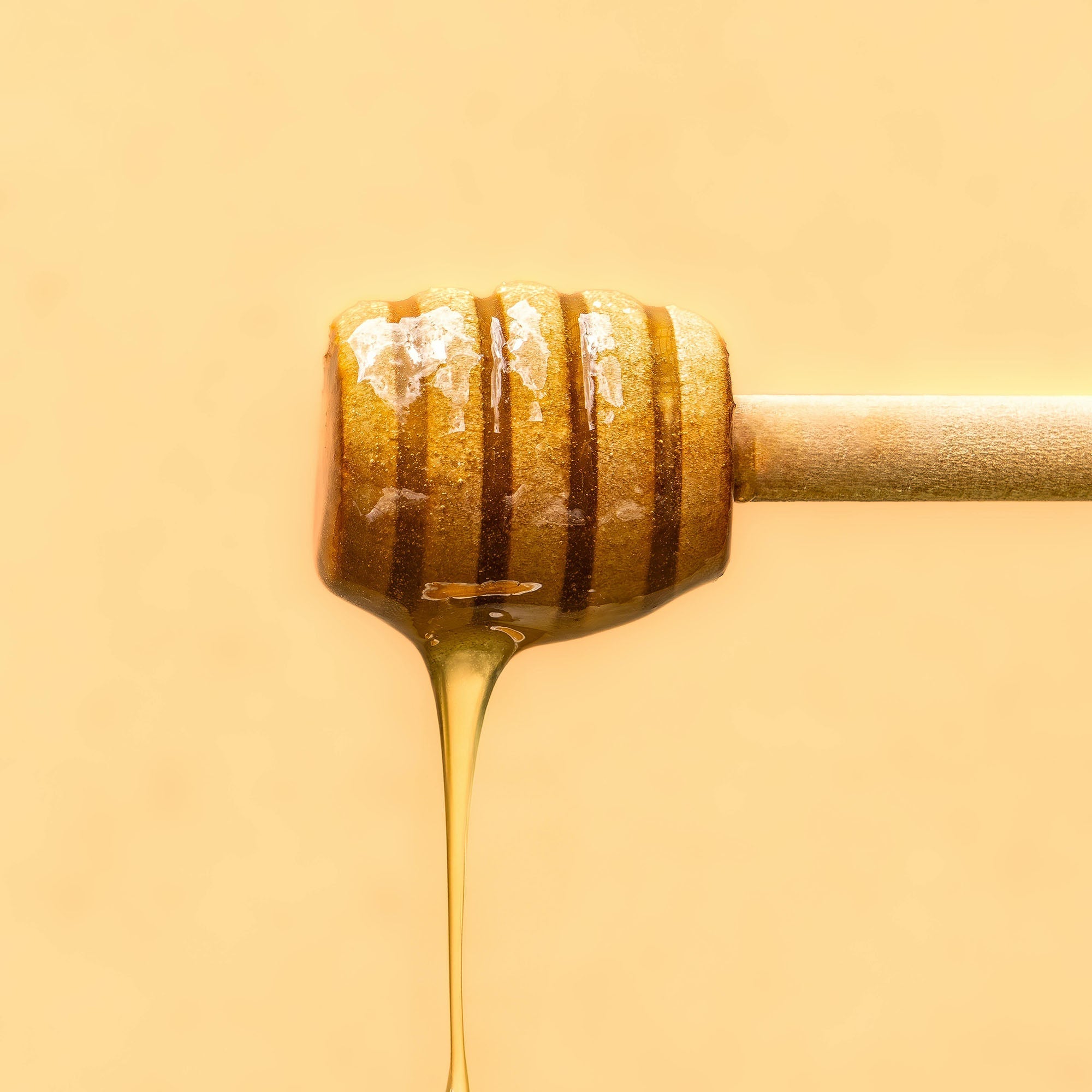 Vitruvi - Golden Fig Air Scent Refill -