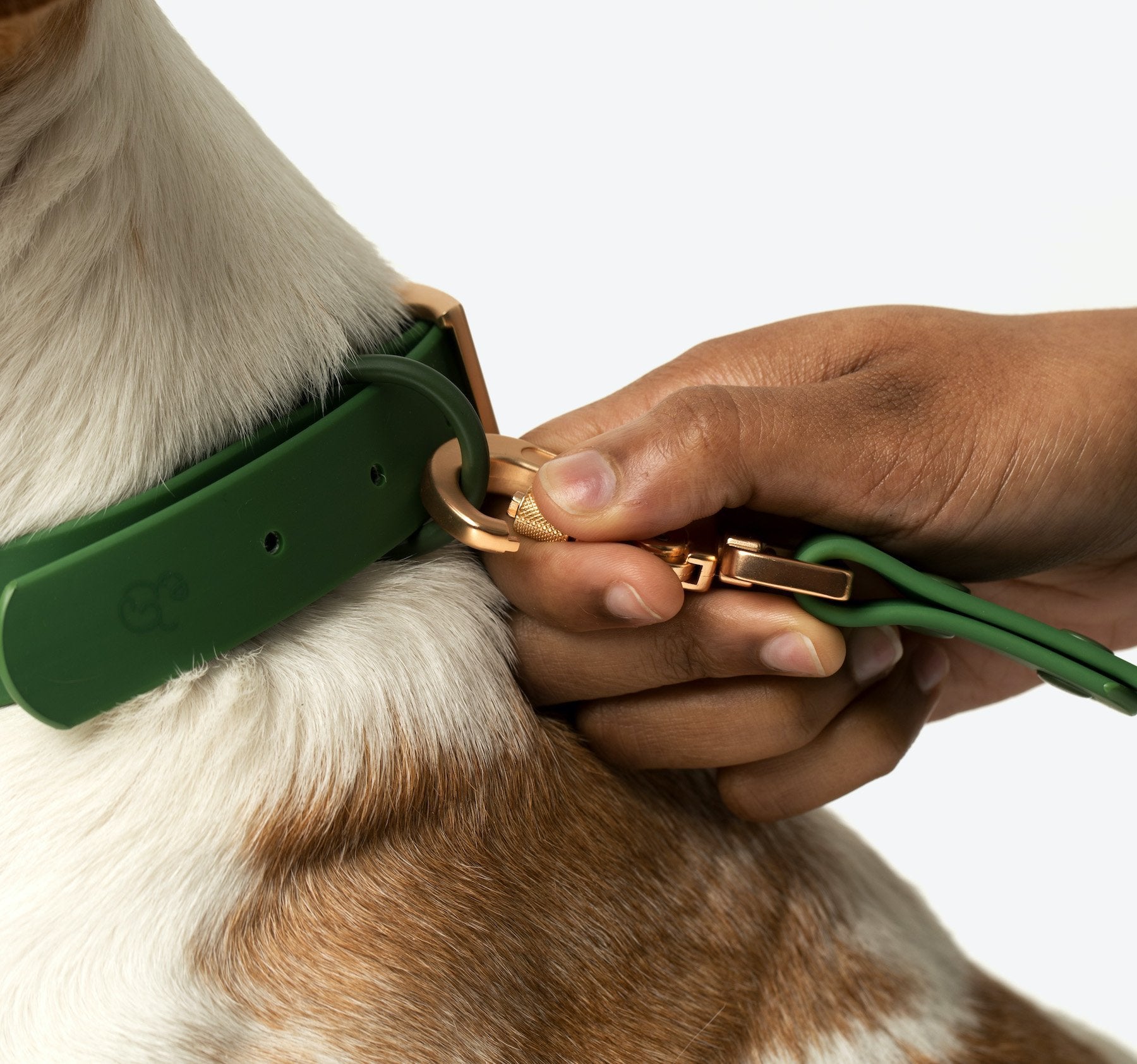 Lucy &amp; Co. - Waterproof PVC Collar - Pine -