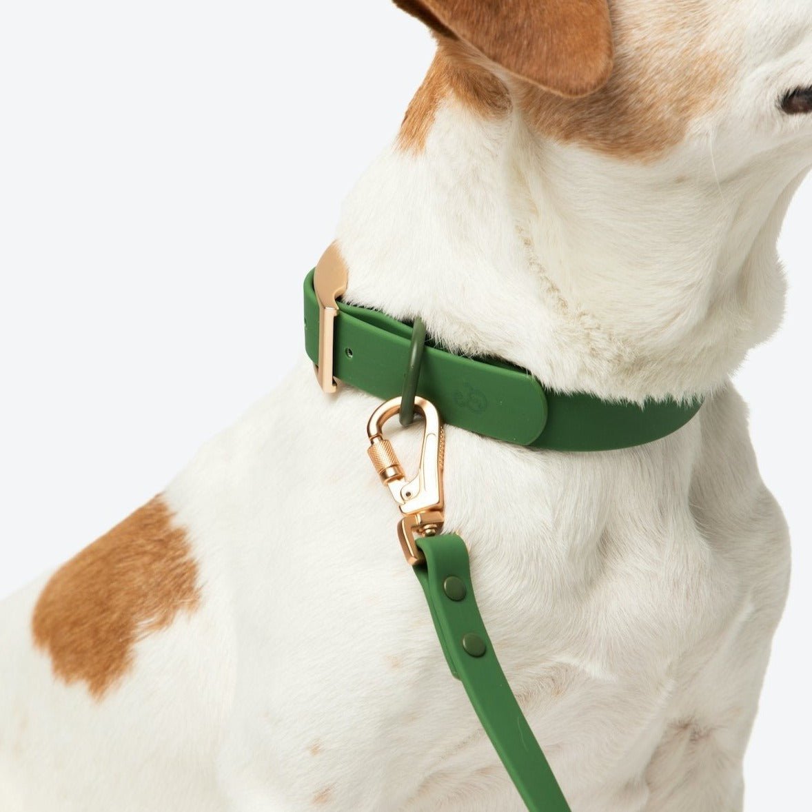 Lucy &amp; Co. - Waterproof PVC Collar - Pine -