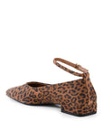 Seychelles - Pumpkin Flat - Leopard -
