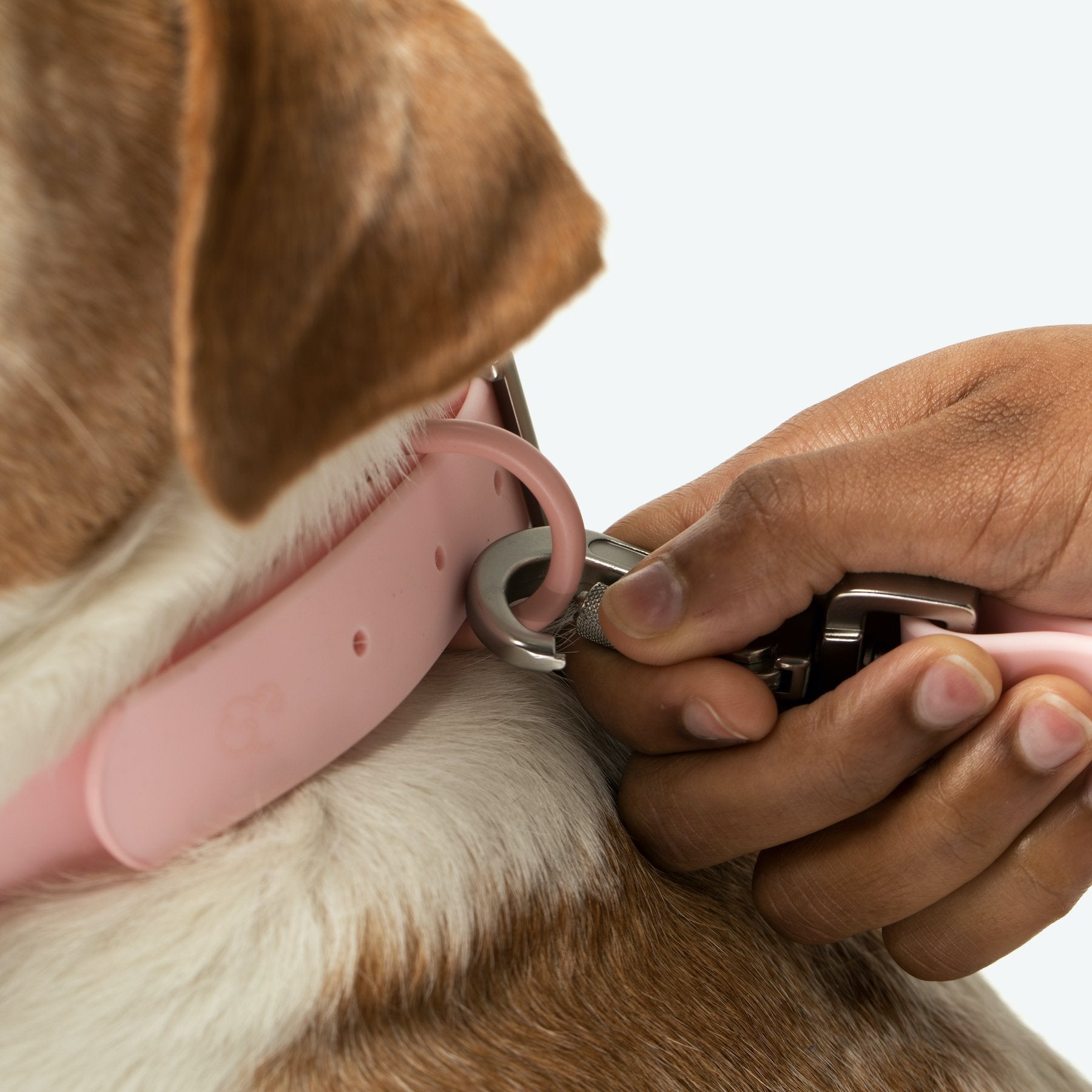 Lucy &amp; Co. - Waterproof PVC Collar - Rosewater -