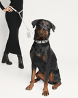 Shine Metallic Leather Collar Kit