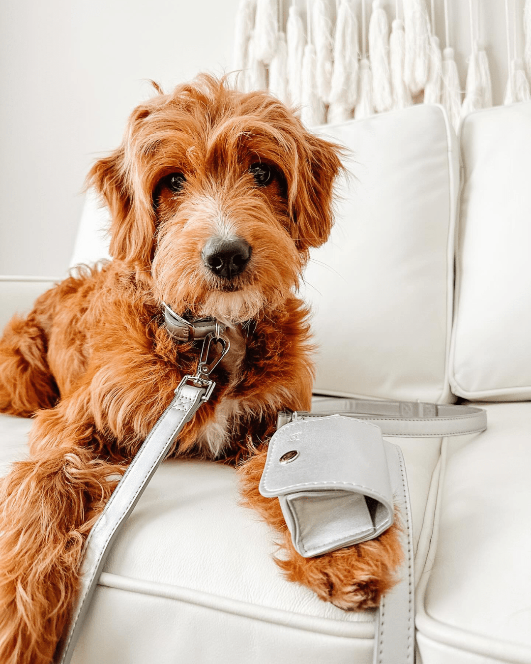 Furry Muse - Shine Multiway Metallic Leather Leash &amp; Poop Bag Pouch -