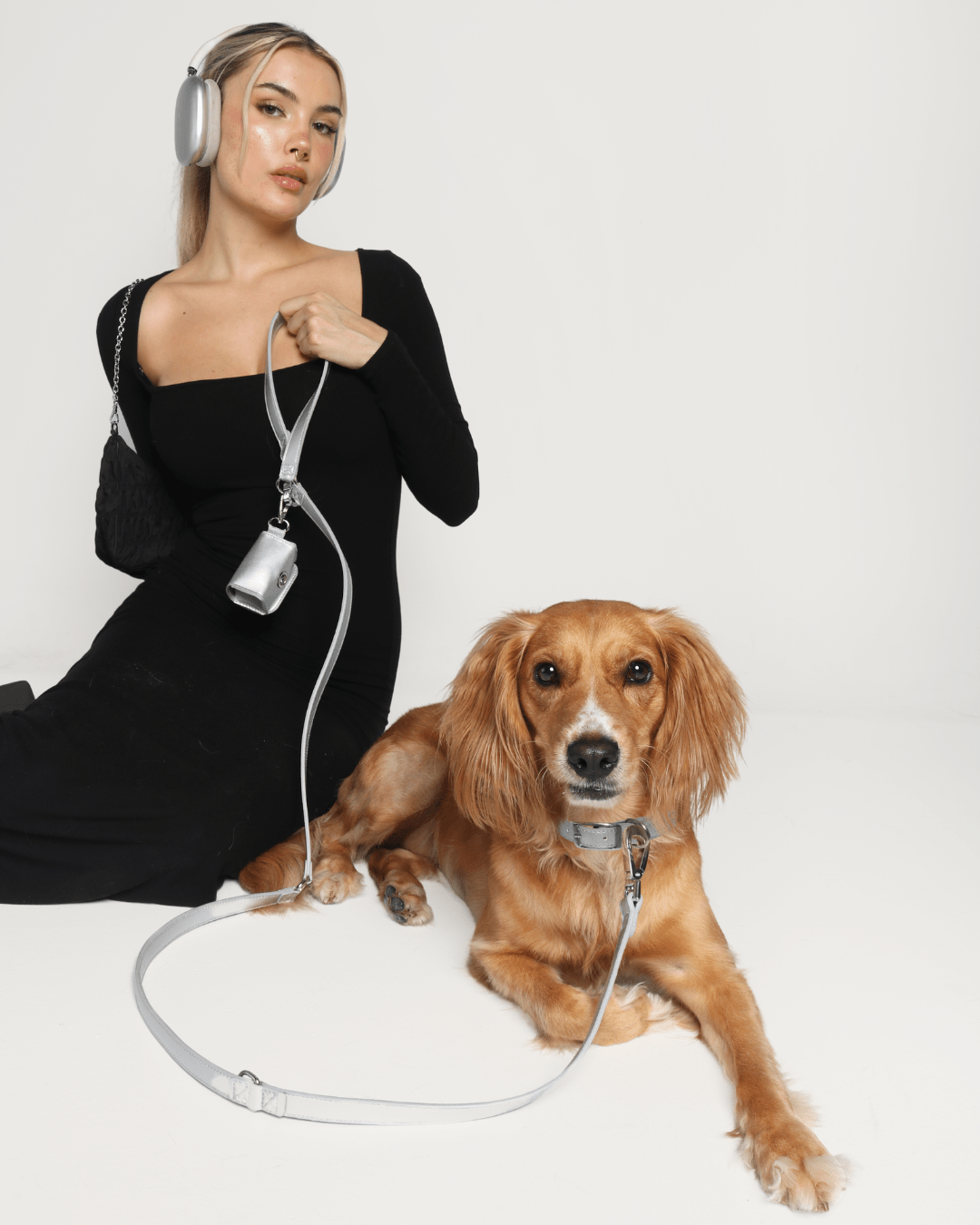 Shine Metallic Leather Collar, Leash, &amp; Poop Bag Pouch Kit - FURRY MUSE SHI - CKIT - S - OL