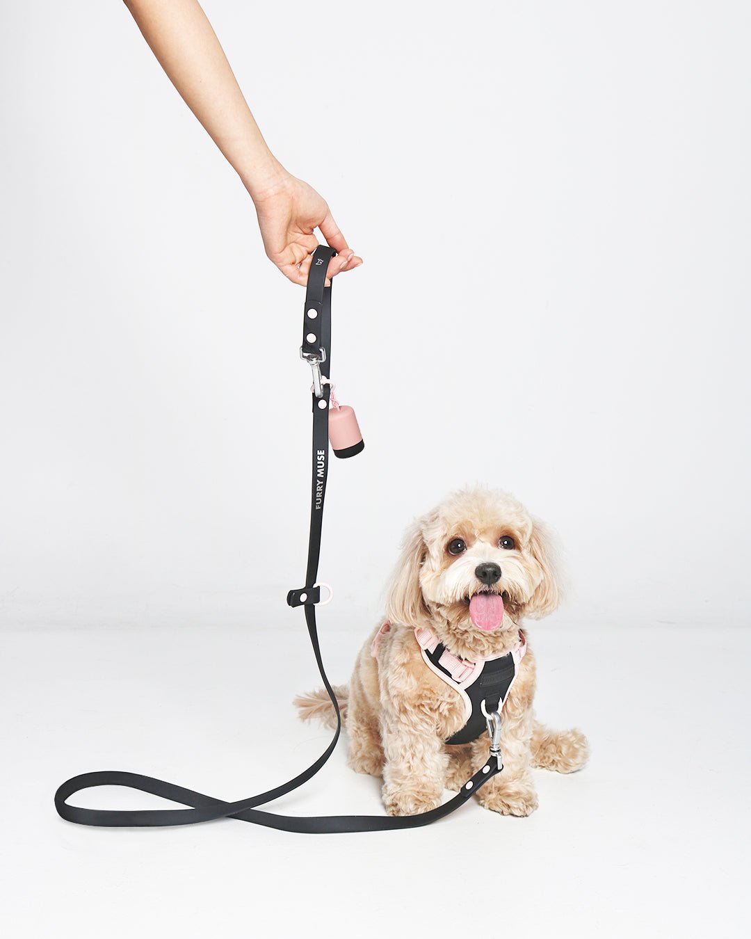 Furry Muse - Wander! Multiway Leash - Ballerina -