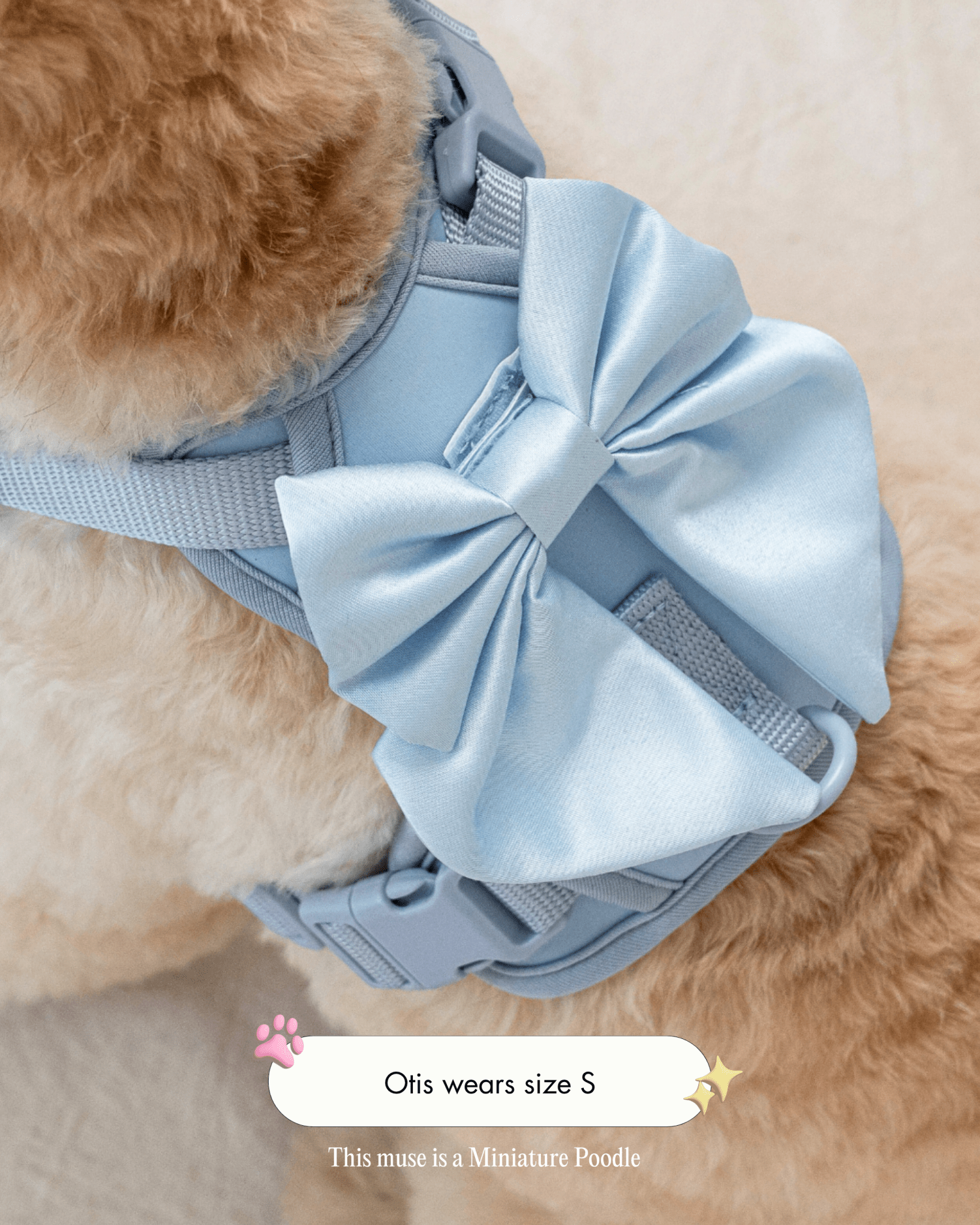 Wander! Bow Harness 2.0 - Sky - FURRY MUSE WAN-HAR3-XS-BL