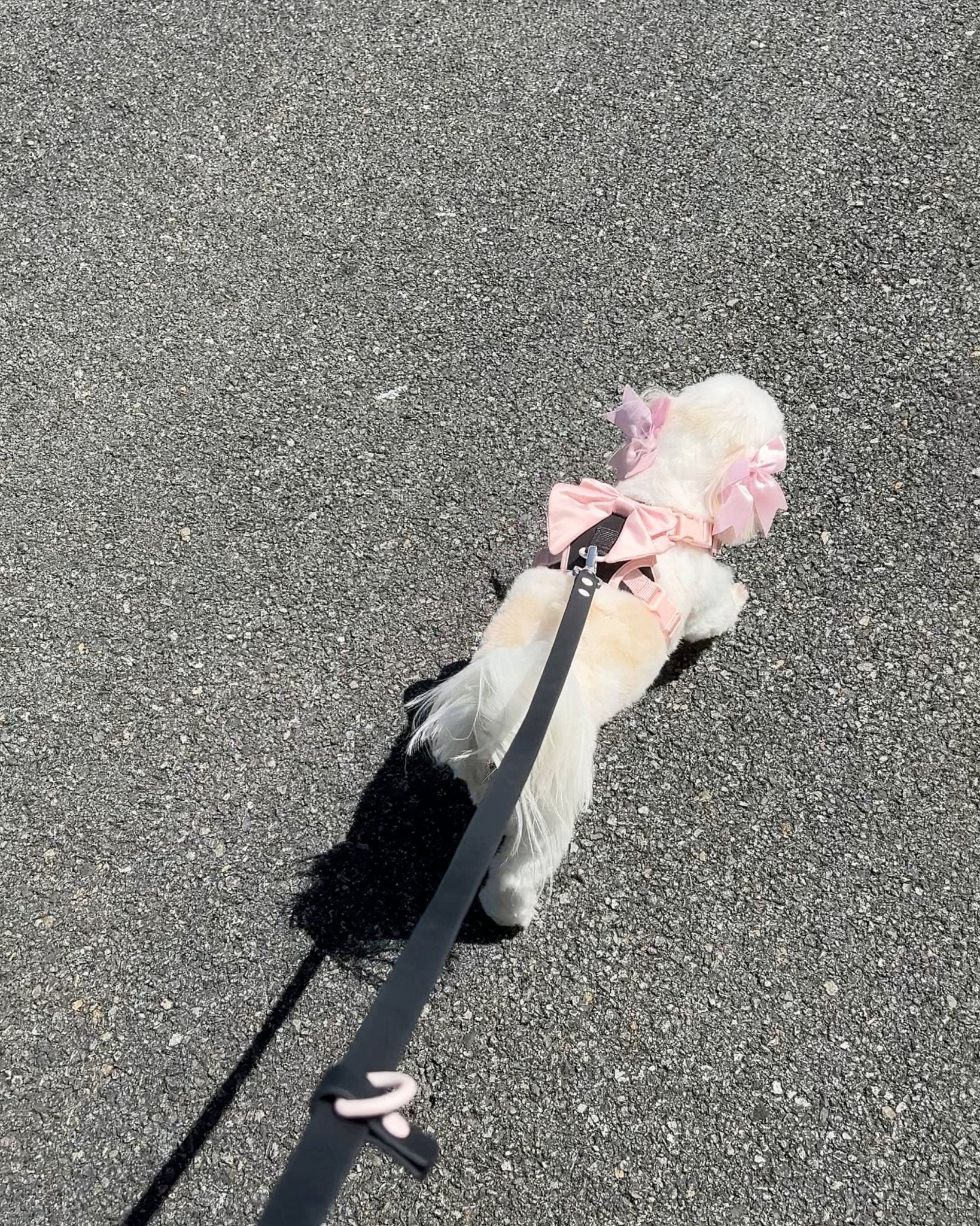 Furry Muse - Wander! Multiway Leash - Ballerina -