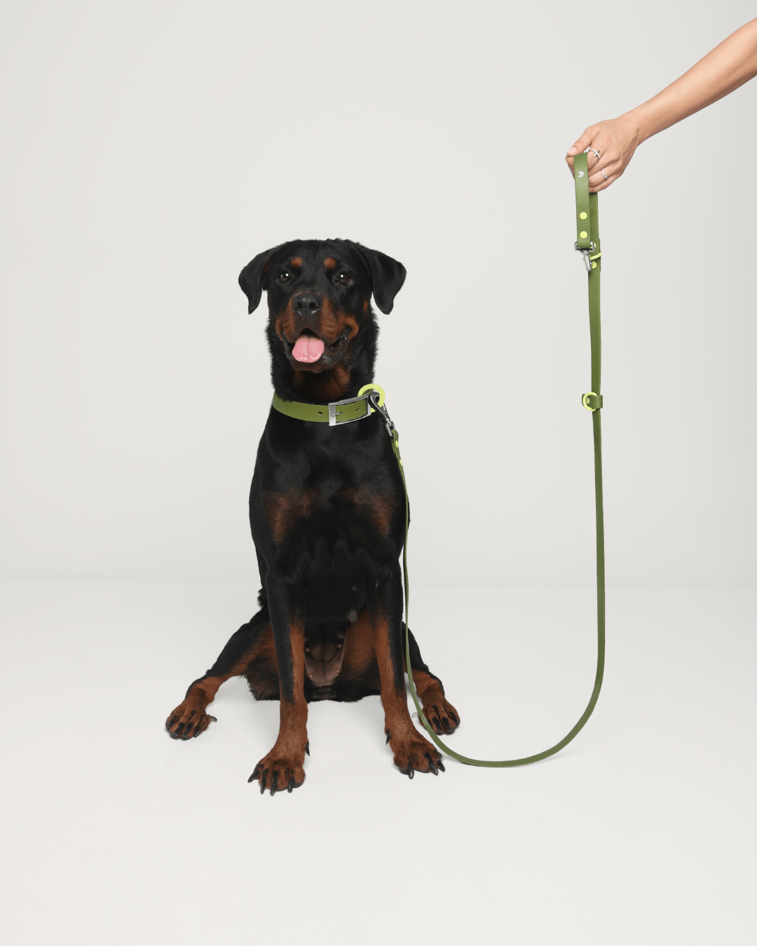 Wander! Collar &amp; Leash Kit Martini - FURRY MUSE WAN - CKIT - S - OL