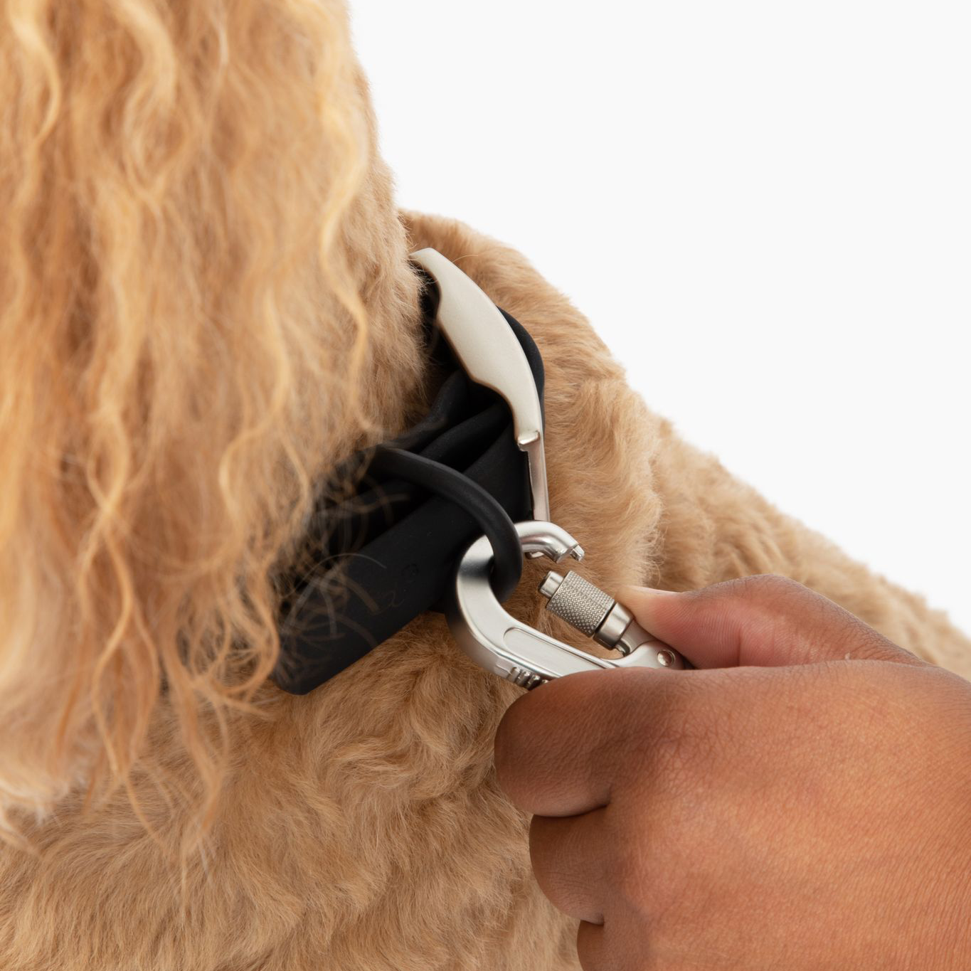 Lucy & Co. - Waterproof PVC Collar - Midnight -
